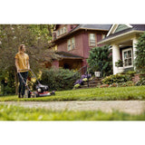 Troy-Bilt Tb100 Walk Behind Push Mower with Briggs and Straton Engine