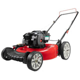 Troy-Bilt Tb100 Walk Behind Push Mower with Briggs and Straton Engine